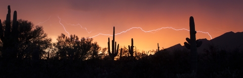 Tucson sunset