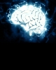 brain