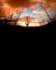 Tucson desert