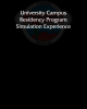 Simulation Experience
